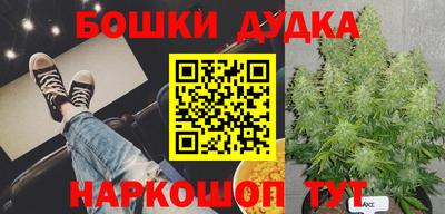 PSILOCYBIN Гусь-Хрустальный