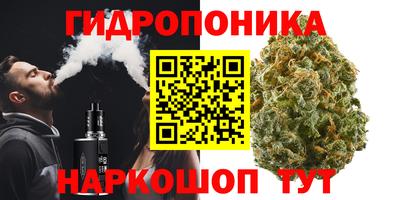 прущая мука Гусев