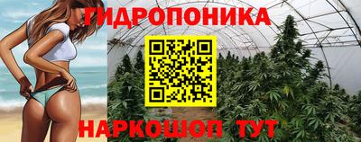 прущая мука Гусев