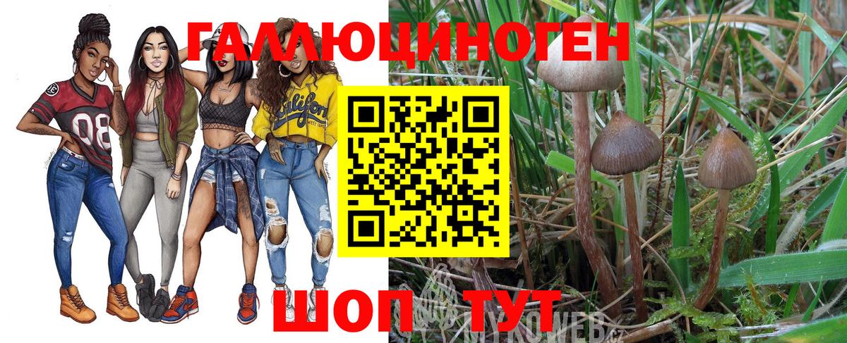 Псилоцибиновые грибы Psilocybine cubensis  Вход с VPN  Кингисепп 