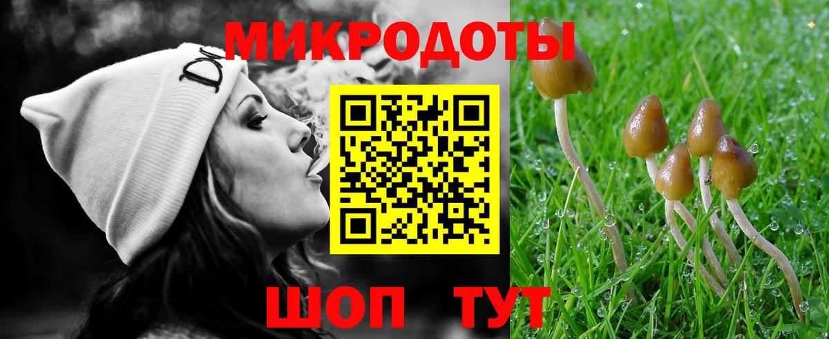 Псилоцибиновые грибы MAGIC MUSHROOMS Кингисепп