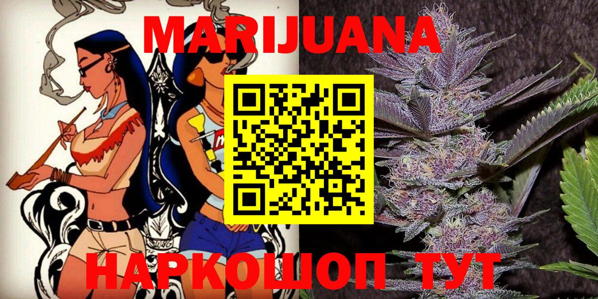 Каннабис индика Кингисепп